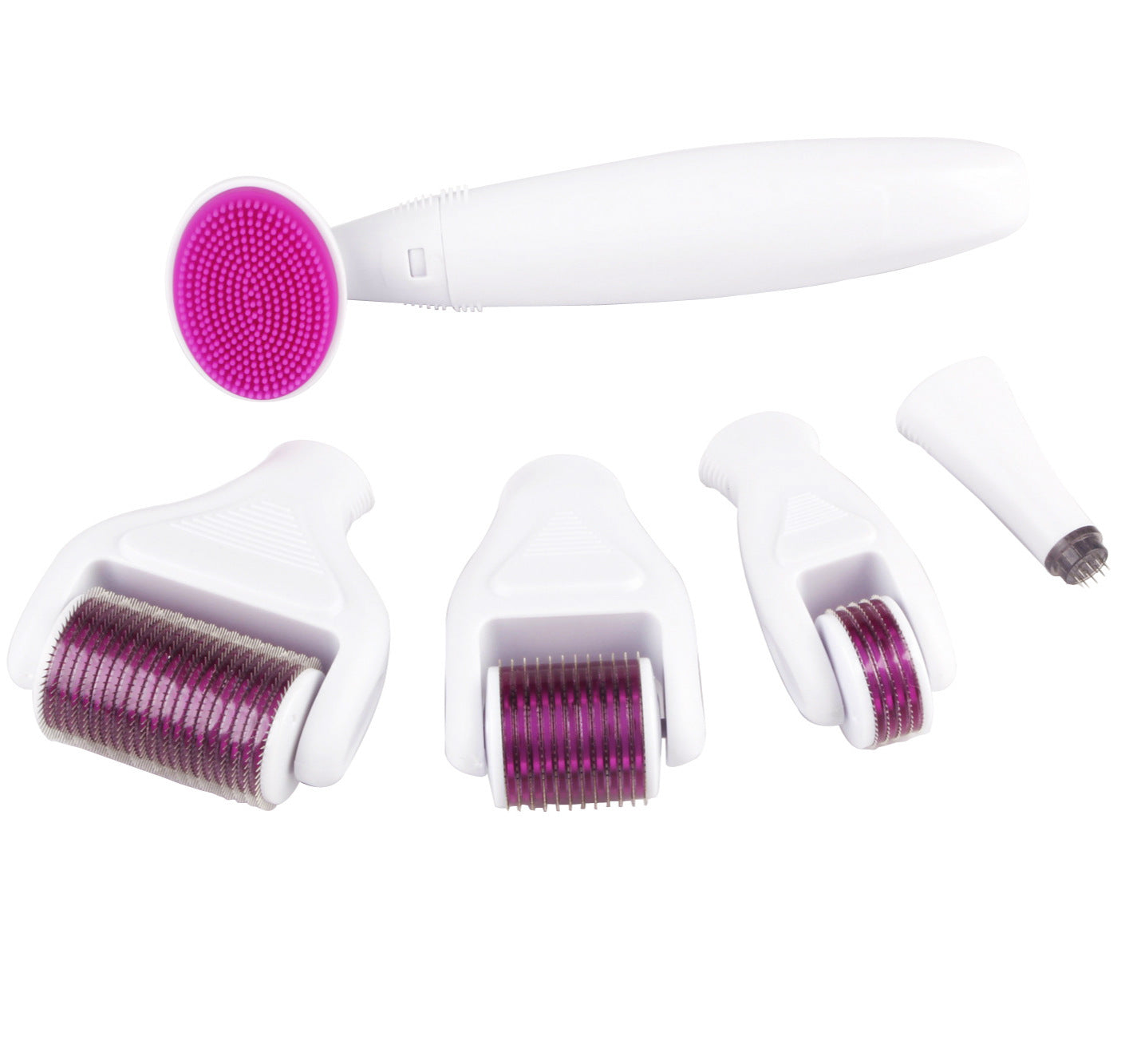 Beauty Introduction Six-In-One Roller Microneedle