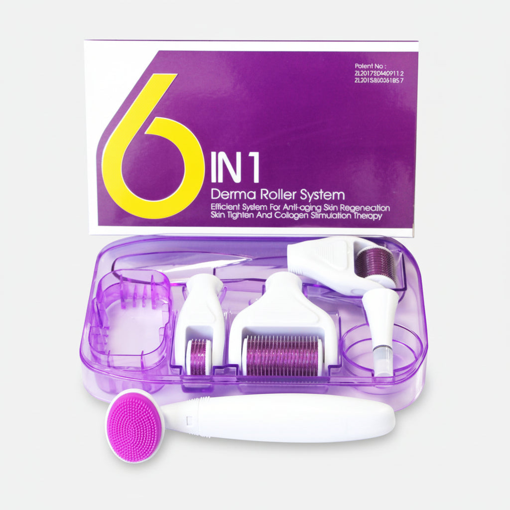 Beauty Introduction Six-In-One Roller Microneedle