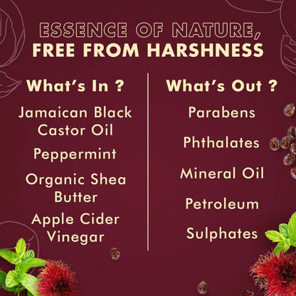 Sheamoisture 100% Pure Jamaican Black Castor Oil Leave in Conditioner for Damaged Hair and to Soften Detangle Hair 11.5Oz